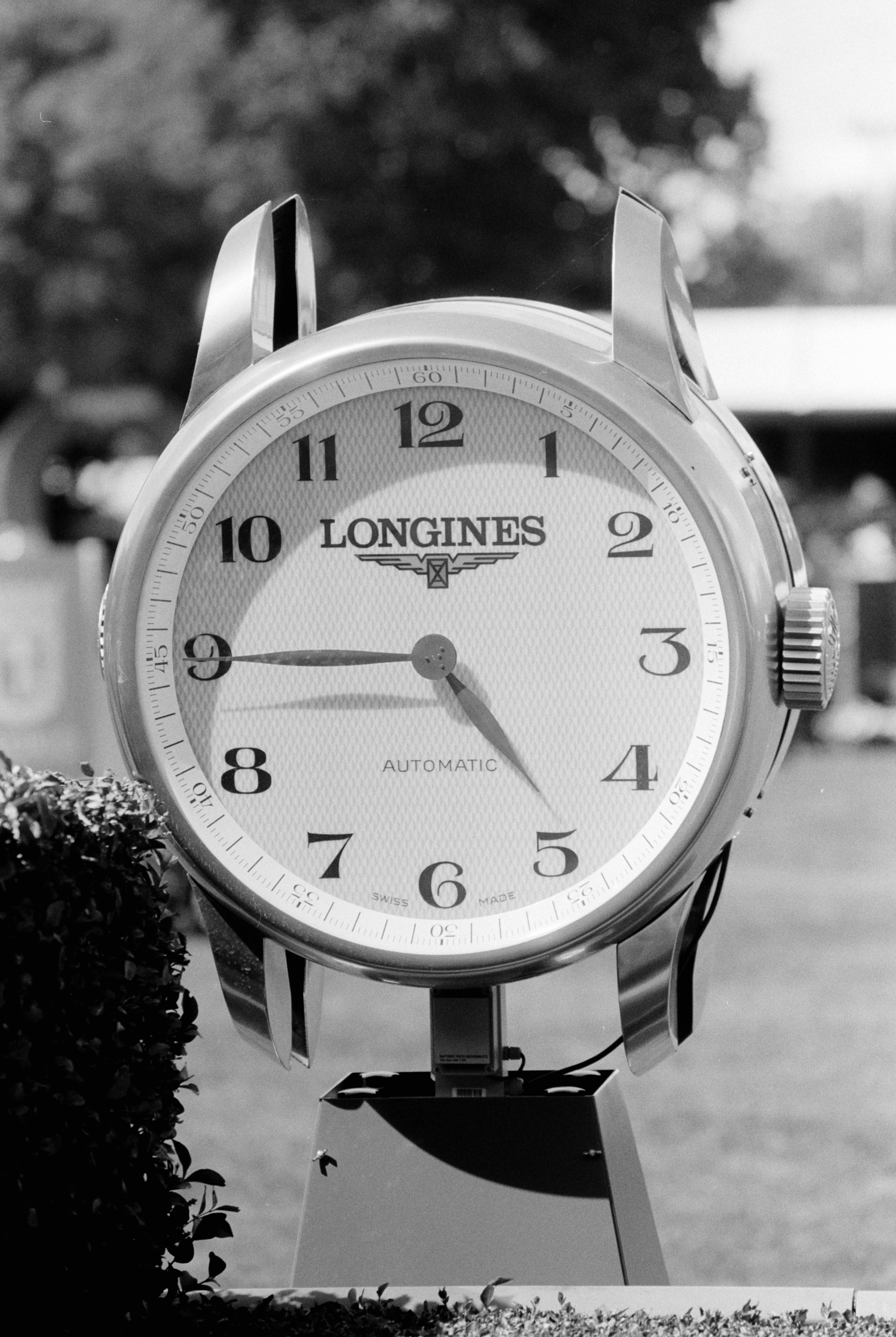 Fotografía analógica en Madrid primavera verano hipodromo