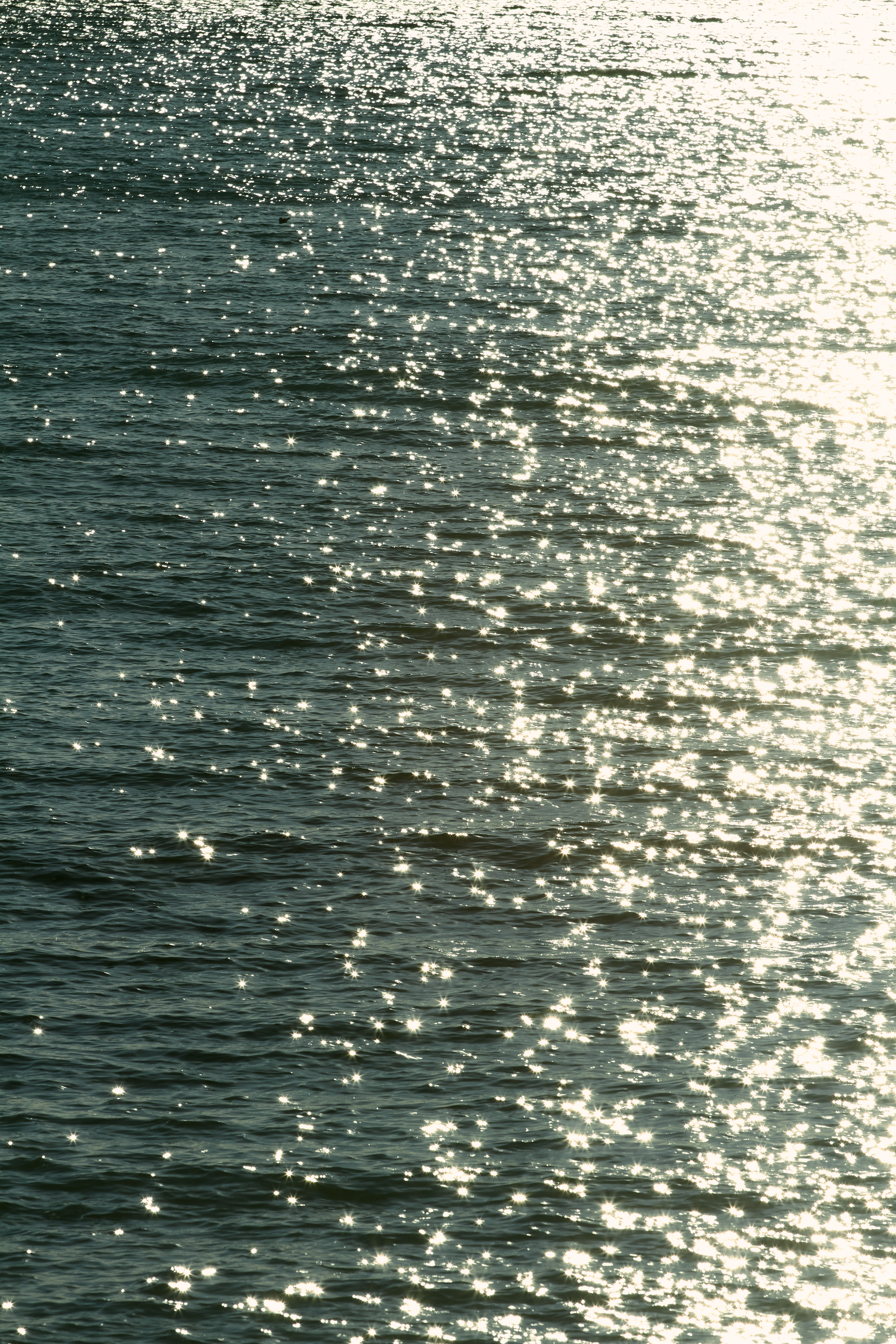 Foto Mar de Villajoyosa, homenaje al mar expo 2026