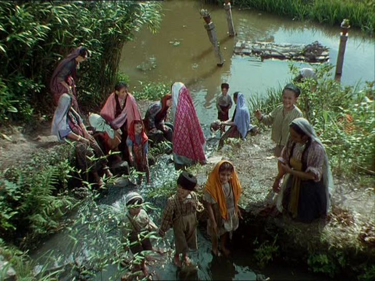 Composición pictórica en Narciso Negro