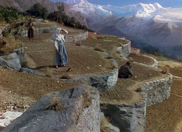 Clímax visual de Narciso Negro