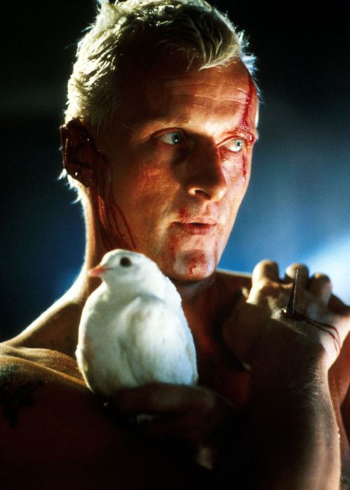 Roy Batty bajo la lluvia en una escena de Blade Runner (1982).